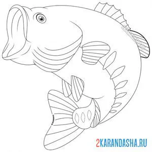 Раскраска речной окунь рыба онлайн
