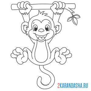 Онлайн раскраска обезьянка висит на ветке
