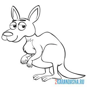 Раскраска кенгуру следит за обстановкой онлайн