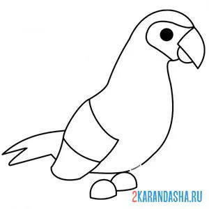 Раскраска адопт ми пет попугай онлайн