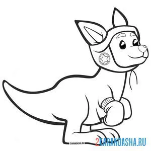 Онлайн раскраска кенгуру боксер