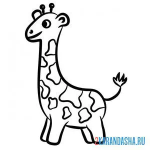 Раскраска жираф рисунок онлайн