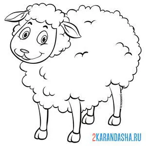 Раскраска маленькая овечка онлайн