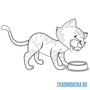 Раскраска кот у миски онлайн