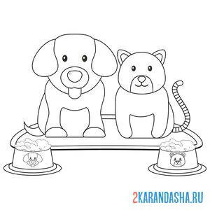 Раскраска собака и кот рядом с мисками онлайн