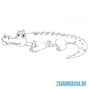 Раскраска крокодил на суше онлайн