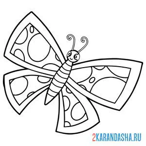 Раскраска бабочка для детей онлайн