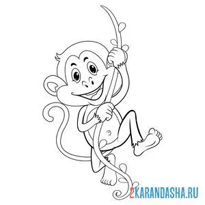Раскраска обезьяна катается на ветке онлайн