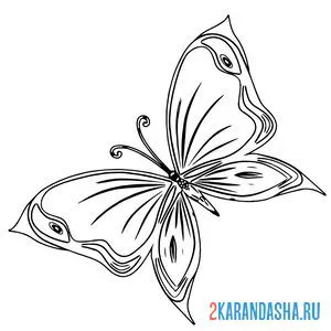 Раскраска сложная бабочка онлайн
