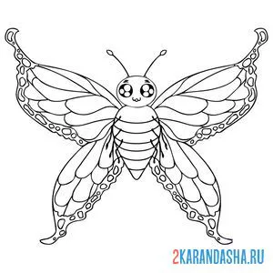 Раскраска бабочка большая онлайн
