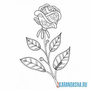 Раскраска цветочек роза онлайн