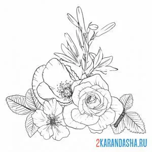 Раскраска розы растение онлайн
