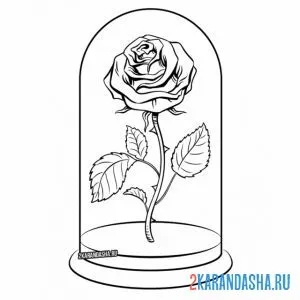 Онлайн раскраска роза под стеклянным куполом