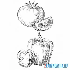 Раскраска томат и перец болгарский онлайн