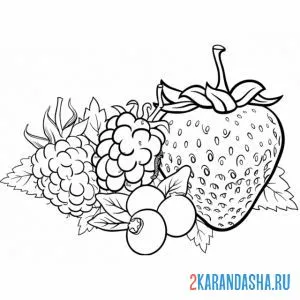 Раскраска набор ягод онлайн