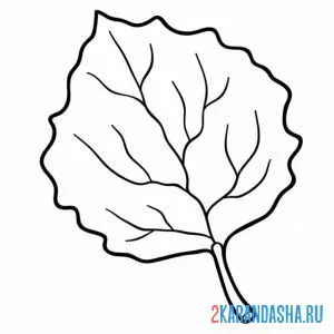 Раскраска лист осина онлайн