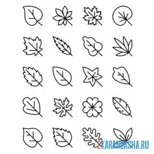 Распечатать раскраску листья разные иконки на А4