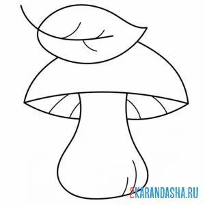 Раскраска белый гриб с листочком онлайн