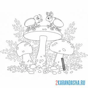 Раскраска жуки и грибы онлайн