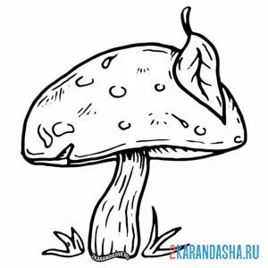 Раскраска гриб с листочком на шляпке онлайн