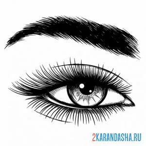 Распечатать раскраску глаз для макияжа косметика на А4