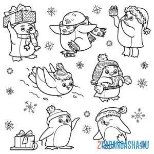 Раскраска пингвины смешные онлайн