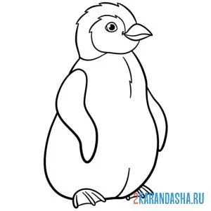 Распечатать раскраску северный пингвин на А4