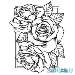 Раскраска розы пушистые онлайн