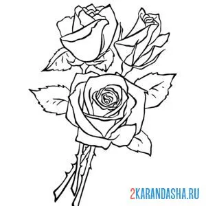 Раскраска три розы подарить онлайн