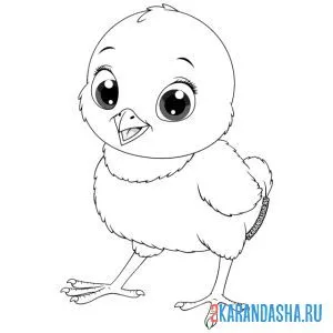 Раскраска милый цыпленок малыш онлайн
