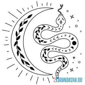 Раскраска змея и луна онлайн