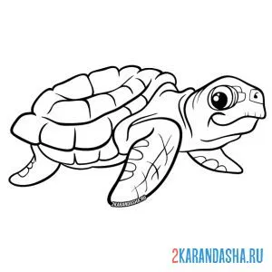 Раскраска взрослая черепаха онлайн