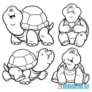 Раскраска смешные черепахи онлайн