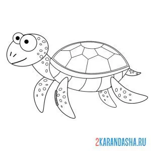 Раскраска забавная черепаха онлайн