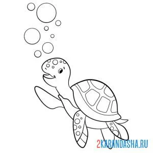 Раскраска черепаха здоровается онлайн