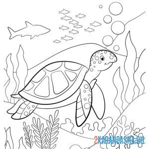 Раскраска подводный мир черепахи онлайн