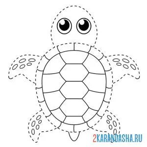 Раскраска обведи черепаху по линиям онлайн