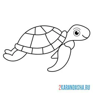 Раскраска рисунок черепахи онлайн