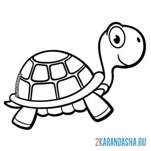 Раскраска черепаха сухопутная онлайн
