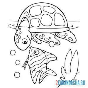 Раскраска черепаха смотрит на рыбку онлайн