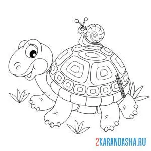 Раскраска черепаха и улитка онлайн