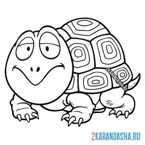 Раскраска старая мудрая черепаха онлайн