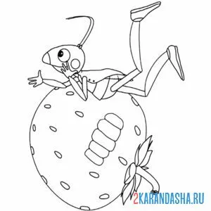Раскраска муравей кузя на клубничке онлайн