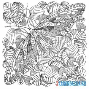 Раскраска бабочка в листьях онлайн