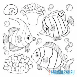 Раскраска три разных рыбы онлайн