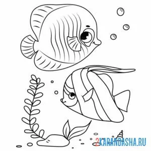 Раскраска две морских рыбки онлайн