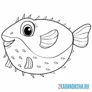 Раскраска фугу рыбка онлайн