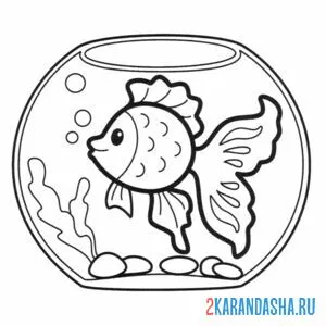 Раскраска золотая рыбка в аквариуме онлайн