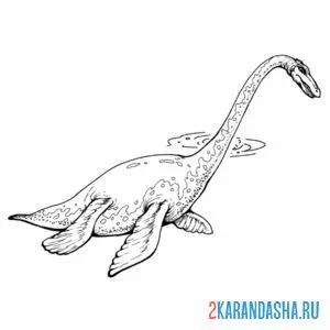Раскраска плезиозавр динозавр онлайн