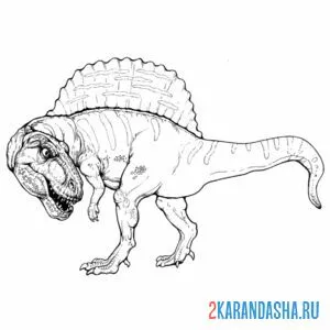 Распечатать раскраску спинозавр род ихтиофаговых тероподовых динозавров на А4
